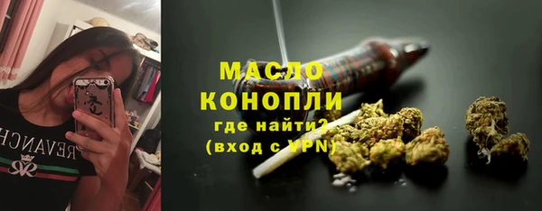 стаф Медногорск