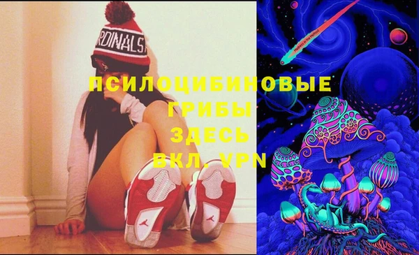 спиды Мегион