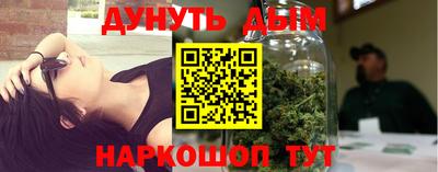 сатива Бийск