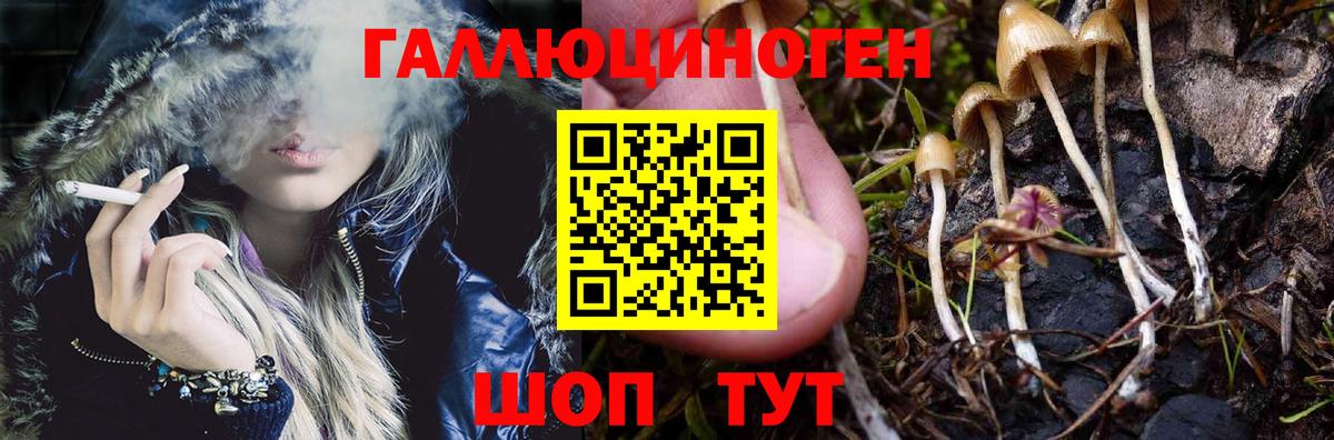 ГАШИШ  Меф МЯУ МЯУ  Менделеевск  Кокаин  АМФ кристаллы  ТГК  Вход с VPN  МЕТАМФЕТАМИН  Марихуана  Меф МЯУ МЯУ   Героин 