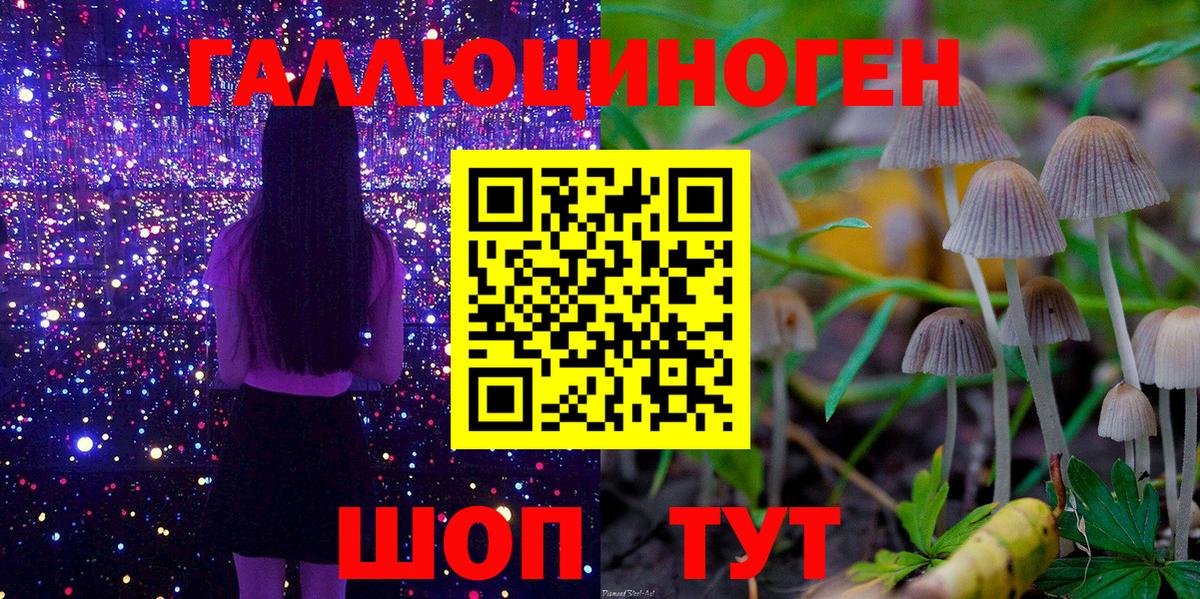 Псилоцибиновые грибы мухоморы Менделеевск
