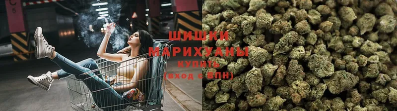 блэк спрут маркетплейс  Менделеевск  Бошки Шишки Ganja  где купить  